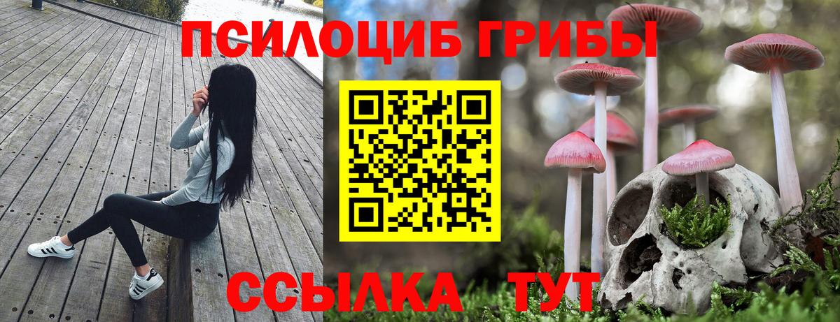 Дзержинск  наркота  Вход с VPN  Псилоцибиновые грибы прущие грибы 